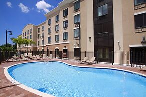 Holiday Inn Express & Suites Tampa USF Busch Gardens, an IHG Hotel