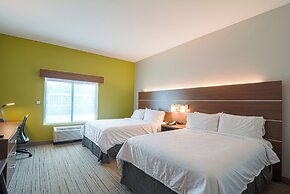 Holiday Inn Express & Suites Tampa USF Busch Gardens by IHG