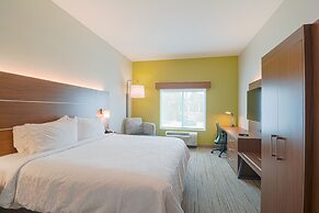 Holiday Inn Express & Suites Tampa USF Busch Gardens by IHG