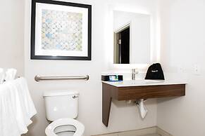 Holiday Inn Express & Suites Tampa USF Busch Gardens by IHG