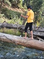 Cle Elum Travelers Inn