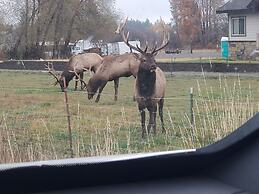 Cle Elum Travelers Inn