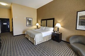 Holiday Inn Arlington NE-Rangers Ballpark by IHG