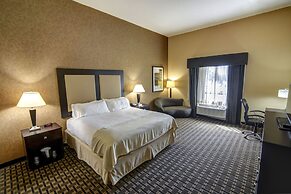 Holiday Inn Arlington NE-Rangers Ballpark by IHG
