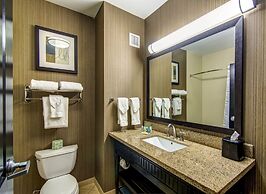 Holiday Inn Arlington NE-Rangers Ballpark by IHG