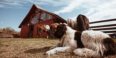 Rio do Rastro Eco Resort