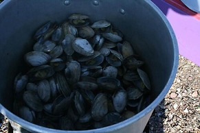 Gullivers Cove Oceanview Cottages