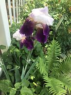 Historic Iron Horse Inn