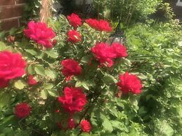 Historic Iron Horse Inn