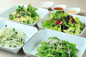 JR WEST GROUP VIA INN HIGASHIGINZA