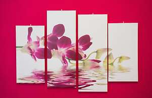 B&B Eternal Rome Inn