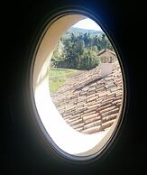 Azienda Agricola Baccagnano