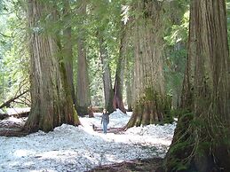 The Lodge at Trout Creek