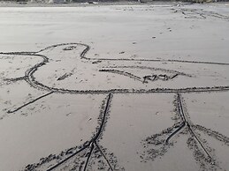 Opunake Beach Kiwi Holiday Park