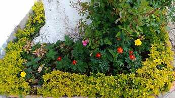 Pousada Sítio Sossego