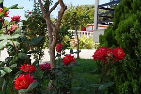 Hotel Brati - Arcoudi