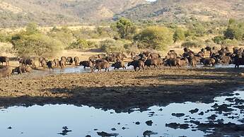 Golden Leopard Resorts - Bakgatla Resort