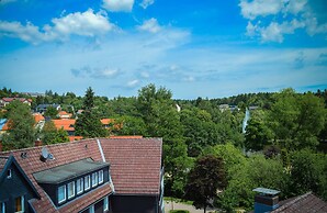 Die Hütten 550 üNN