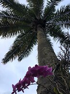 Hotel Morro de São Paulo