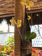 Hotel Morro de São Paulo