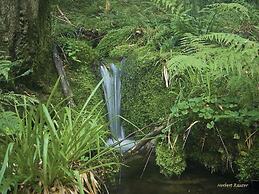 Nashira Kurpark Hotel