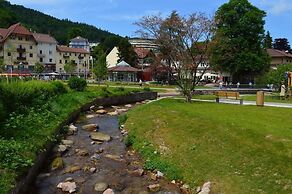 Nashira Kurpark Hotel