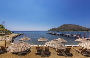 Liv Hotel By Bellazure