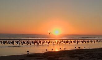 Organic Beach Retreat