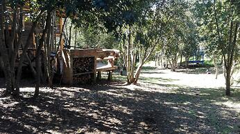 Cabañas Rústicas Pucón