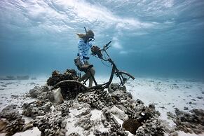 Fushifaru Maldives 50% off on sea plane roundtrip 04 nights & above