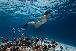 Fushifaru Maldives 50% off on sea plane roundtrip 04 nights & above