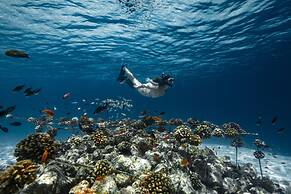 Fushifaru Maldives 50% off on sea plane roundtrip 04 nights & above