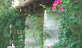 Scalilla - L'Agriturismo