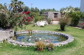 Scalilla - L'Agriturismo