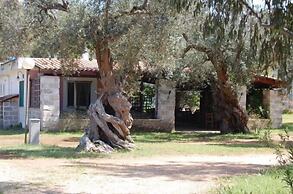 Scalilla - L'Agriturismo