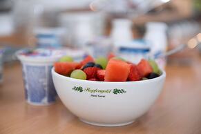 Hotel Garni Hopfengold
