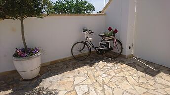 B&B Stella dei Campi