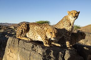 Neuras Wine & Wildlife Estate