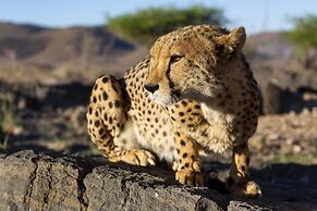 Neuras Wine & Wildlife Estate