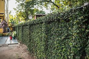 Nakaraj Princess Chiang Rai - Walking Street