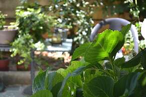 Veggie Garden Athens B&B