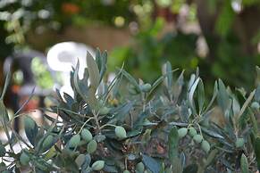 Veggie Garden Athens B&B