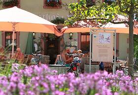 Hotel Rose