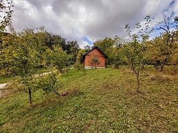 Pensiunea Agroturistica Piscul Soarelui