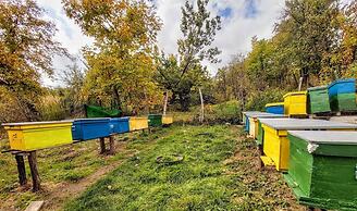 Pensiunea Agroturistica Piscul Soarelui
