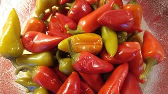 Boutique Hotel die Mittagspitze Superior