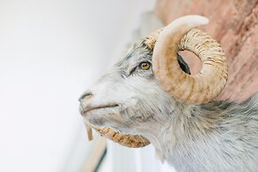 The Publishing House B&B