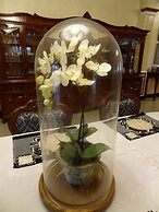 The Executive Villa Inn & Suites