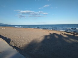 Acv - isla park-1ª línea planta 5 sur