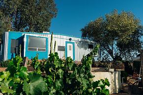 Ecléctico Guadalupe